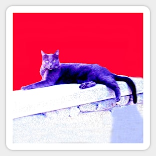 Blue Cat Sticker